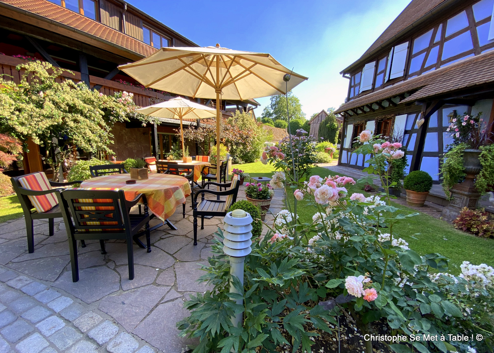 289741654 3165599320320056 5836060576679136488 n